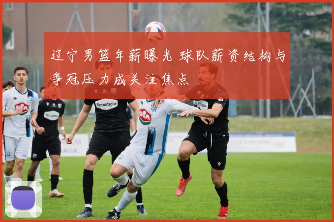辽宁男篮年薪曝光 球队薪资结构与争冠压力成关注焦点