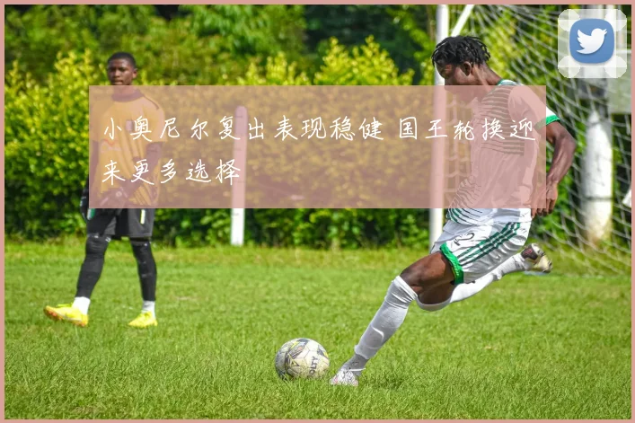 小奥尼尔复出表现稳健 国王轮换迎来更多选择