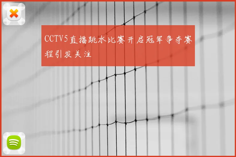 CCTV5直播跳水比赛开启冠军争夺赛程引发关注